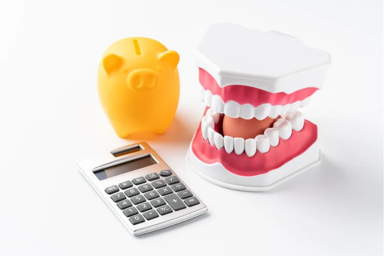 Piggybank, calculator, and dental model highlighting long-term consequences of avoiding dentist visits.